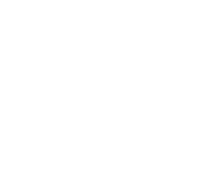 distribucion digital