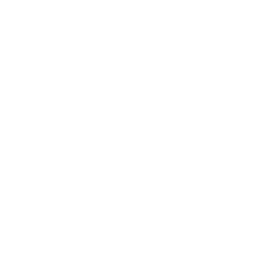 desarollo de artistas